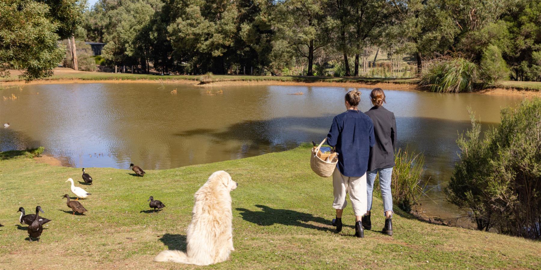 We’re Giving A Round Of APaws To These DogFriendly Adventures